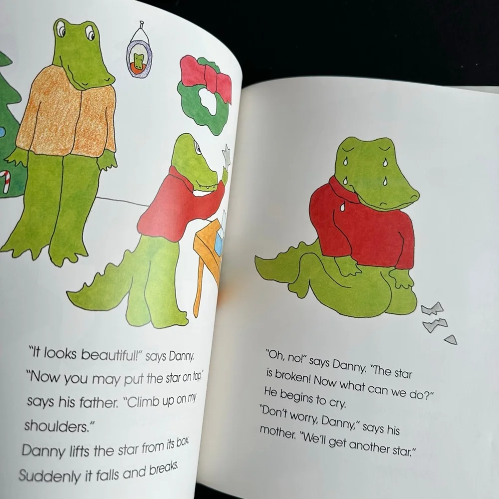 Danny's Christmas Star Kids Book